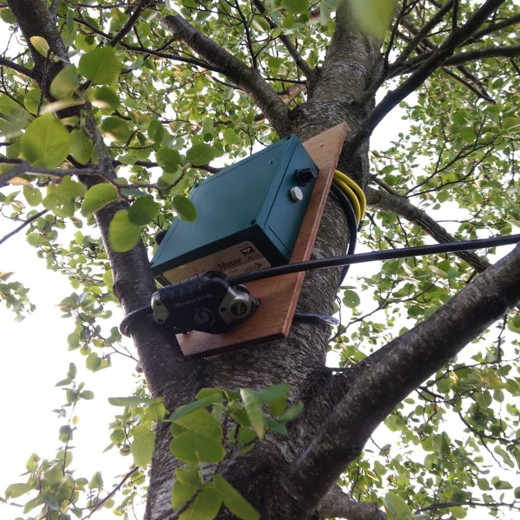 Bat mitigation plan