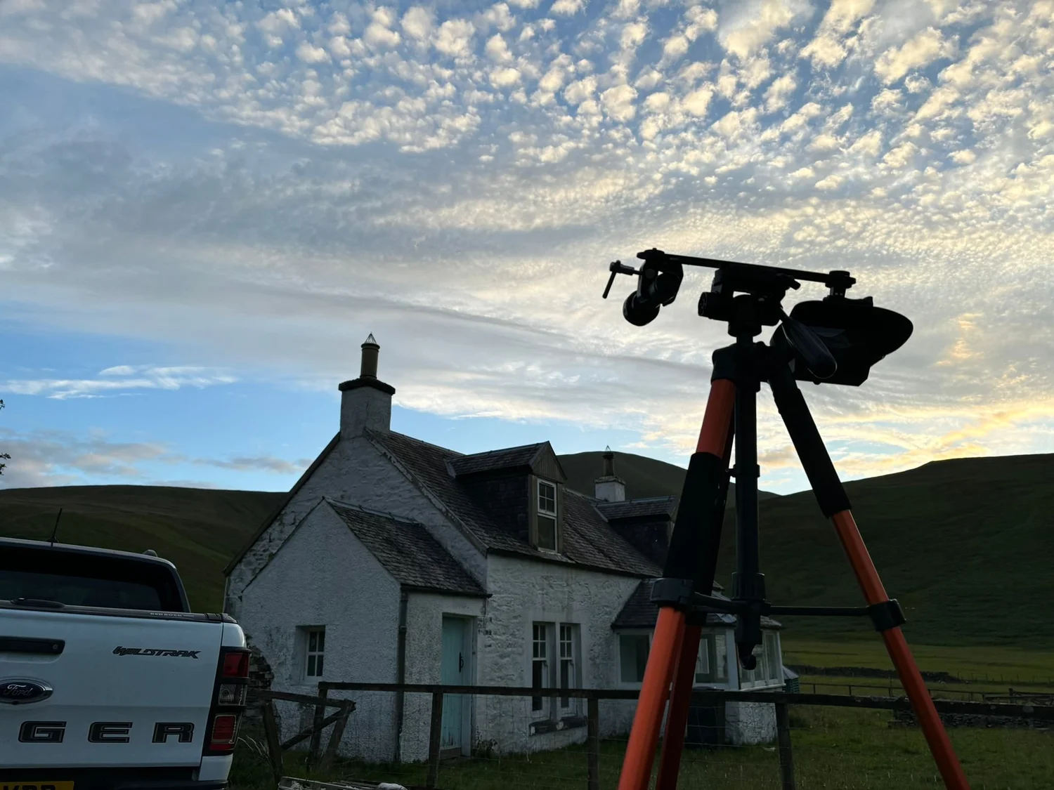 Bat survey team conducting an assessment